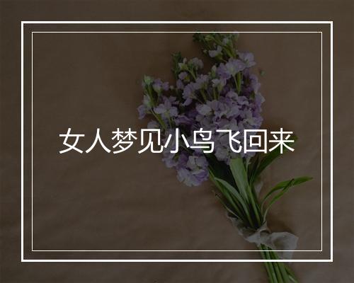 女人梦见小鸟飞回来