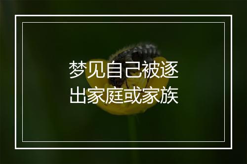 梦见自己被逐出家庭或家族