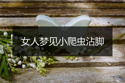 女人梦见小爬虫沾脚