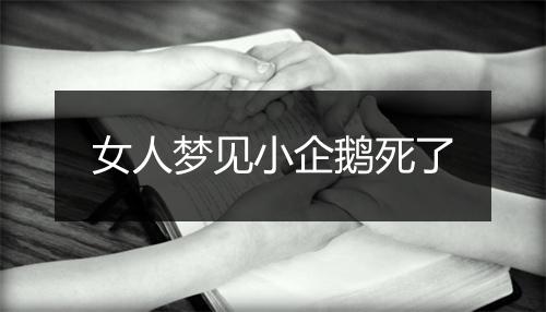 女人梦见小企鹅死了