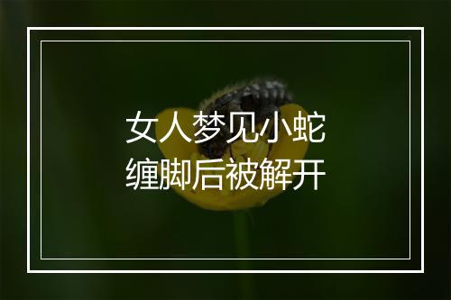 女人梦见小蛇缠脚后被解开