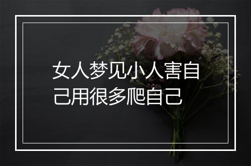 女人梦见小人害自己用很多爬自己