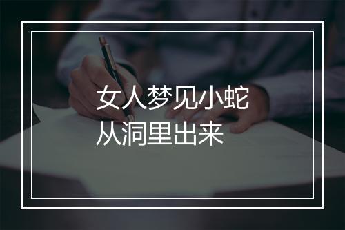 女人梦见小蛇从洞里出来