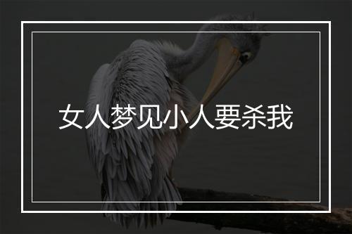 女人梦见小人要杀我