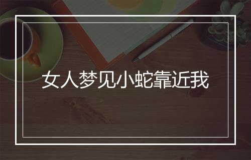 女人梦见小蛇靠近我