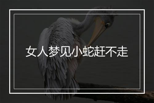 女人梦见小蛇赶不走