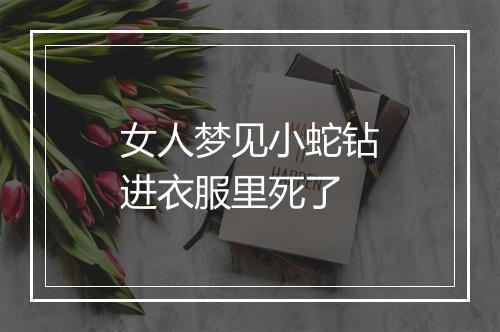 女人梦见小蛇钻进衣服里死了