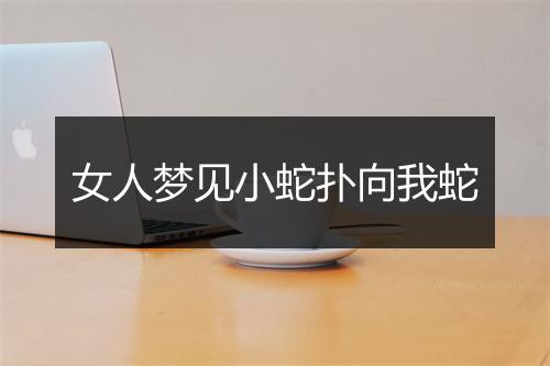 女人梦见小蛇扑向我蛇