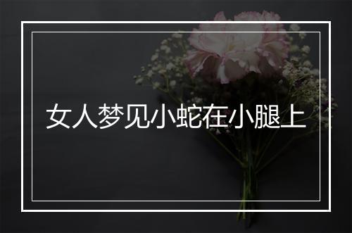 女人梦见小蛇在小腿上