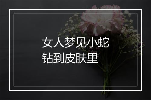 女人梦见小蛇钻到皮肤里