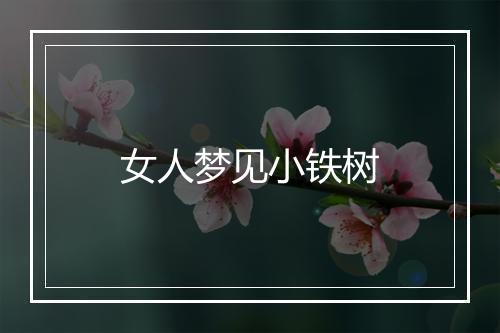 女人梦见小铁树