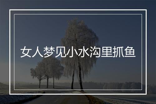 女人梦见小水沟里抓鱼