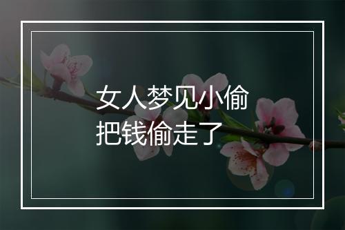 女人梦见小偷把钱偷走了