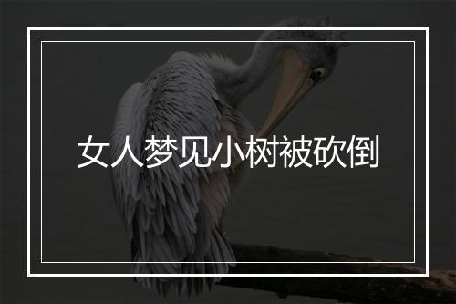 女人梦见小树被砍倒