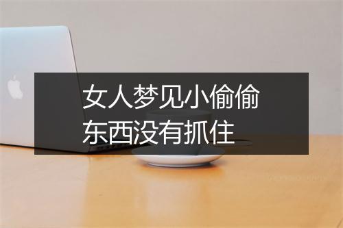 女人梦见小偷偷东西没有抓住