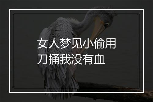 女人梦见小偷用刀捅我没有血