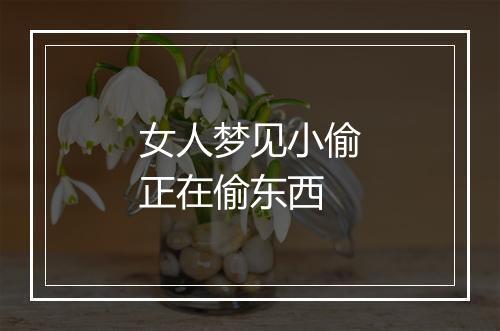 女人梦见小偷正在偷东西