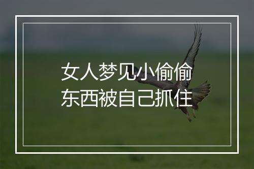 女人梦见小偷偷东西被自己抓住