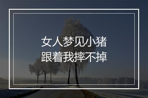 女人梦见小猪跟着我摔不掉