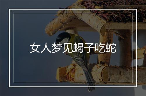 女人梦见蝎子吃蛇