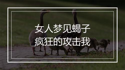 女人梦见蝎子疯狂的攻击我