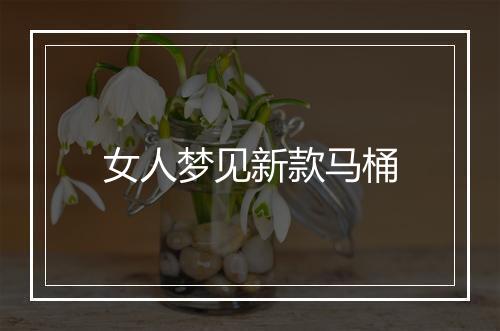 女人梦见新款马桶