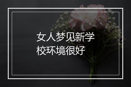 女人梦见新学校环境很好