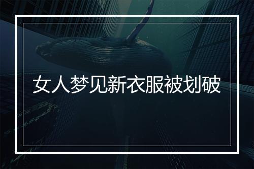 女人梦见新衣服被划破