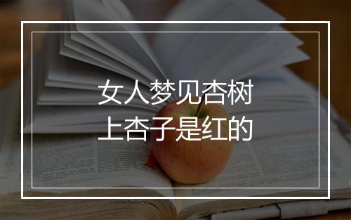 女人梦见杏树上杏子是红的