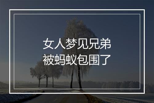 女人梦见兄弟被蚂蚁包围了