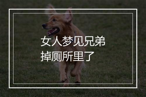 女人梦见兄弟掉厕所里了