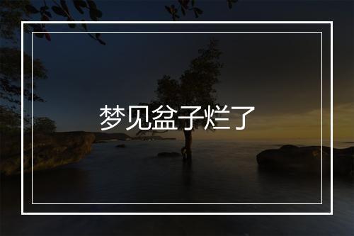 梦见盆子烂了