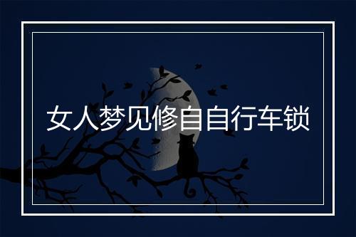 女人梦见修自自行车锁