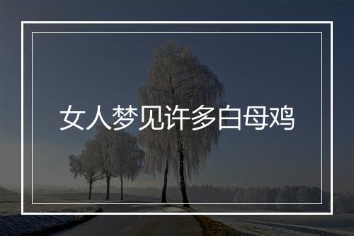 女人梦见许多白母鸡