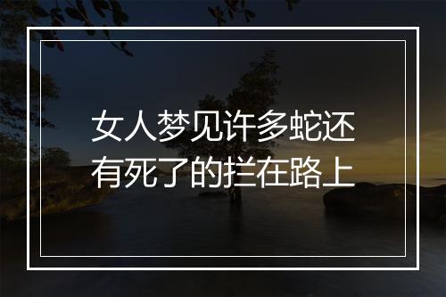 女人梦见许多蛇还有死了的拦在路上