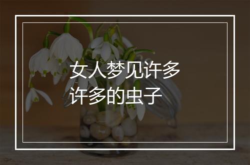 女人梦见许多许多的虫子