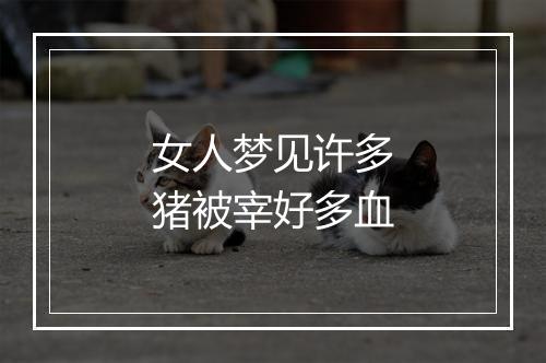 女人梦见许多猪被宰好多血