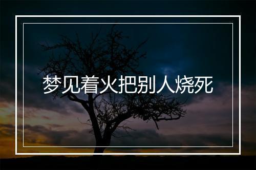 梦见着火把别人烧死