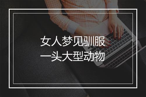 女人梦见驯服一头大型动物