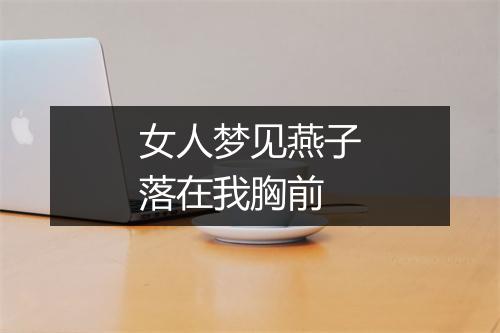 女人梦见燕子落在我胸前