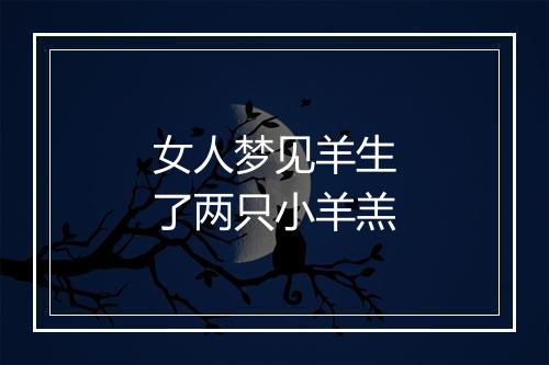 女人梦见羊生了两只小羊羔