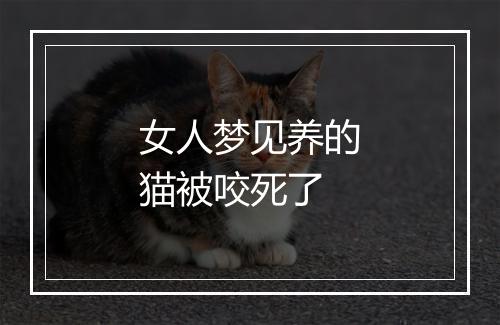 女人梦见养的猫被咬死了