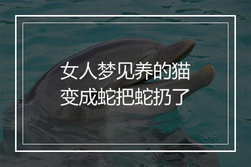 女人梦见养的猫变成蛇把蛇扔了