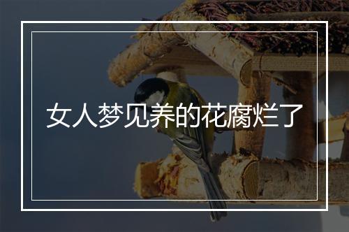 女人梦见养的花腐烂了