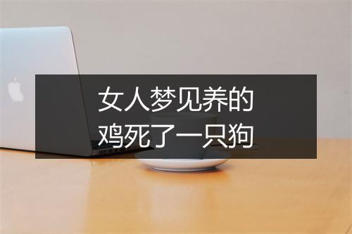 女人梦见养的鸡死了一只狗