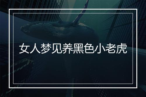 女人梦见养黑色小老虎