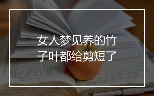 女人梦见养的竹子叶都给剪短了