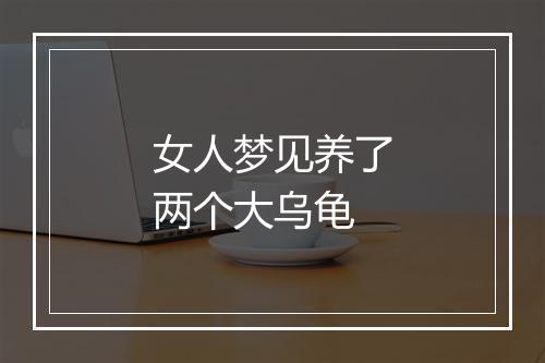 女人梦见养了两个大乌龟