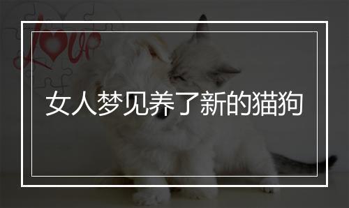 女人梦见养了新的猫狗