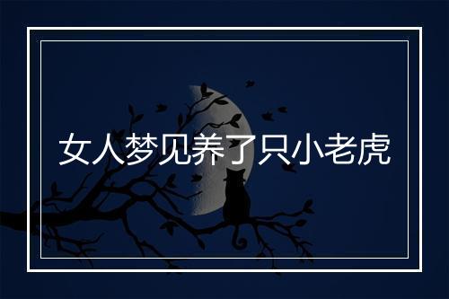 女人梦见养了只小老虎